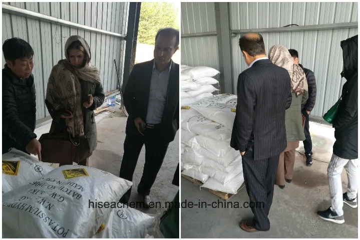 Factory Price of Potassium Nitrate Powder and Prill (KNO3) -Qingdao Hisea Chem